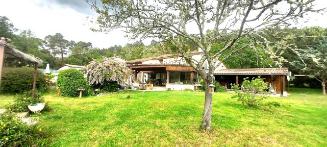 Acheter Maison 479 m2 Ambrus