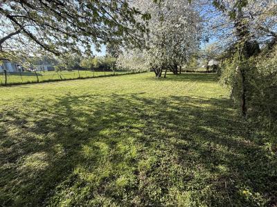 Annonce Vente Terrain Saint-agnan 89