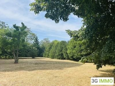 Acheter Maison 392 m2 Bonneuil-matours