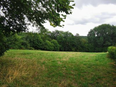 Annonce Vente Terrain Chapdes-beaufort 63