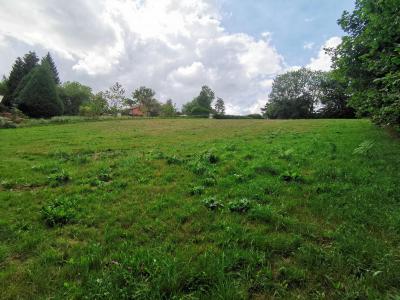 Acheter Terrain Chapdes-beaufort Puy de dome