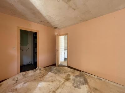 Acheter Immeuble Saint-pe-de-bigorre 48000 euros
