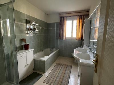 Acheter Maison Saint-romain-de-jalionas Isere