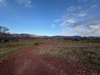 Acheter Terrain Salasc 29000 euros