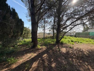 Acheter Maison 90 m2 Canet