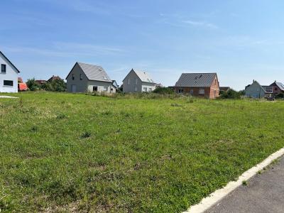 For sale Munwiller Haut rhin (68250) photo 0
