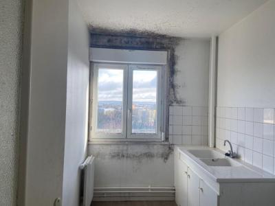 Annonce Vente Appartement Paron 89