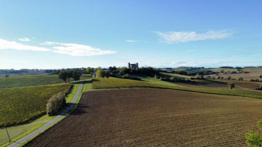 Annonce Vente 7 pices Maison Valence-sur-baise 32