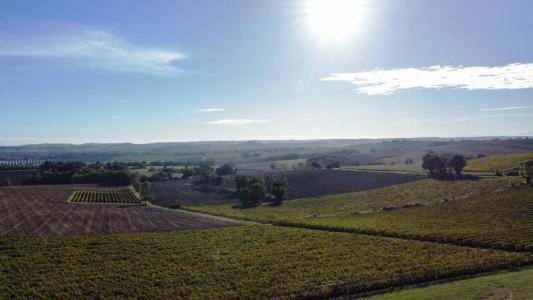 Acheter Maison 159 m2 Valence-sur-baise