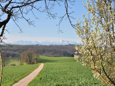 Annonce Vente 10 pices Maison Barran 32