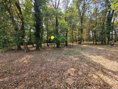 For sale Montelier 7 rooms 160 m2 Drome (26120) photo 4