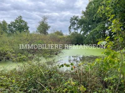 For sale Lamotte-beuvron 1 room 40 m2 Loir et cher (41600) photo 1
