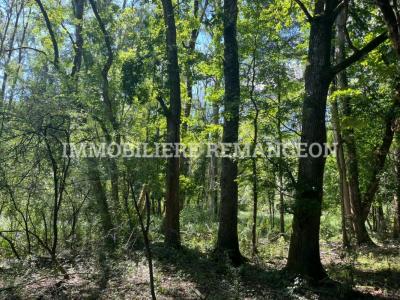 For sale Lamotte-beuvron 1 room 40 m2 Loir et cher (41600) photo 2