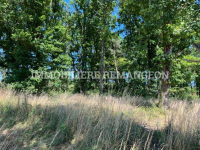 For sale Lamotte-beuvron 1 room 40 m2 Loir et cher (41600) photo 4