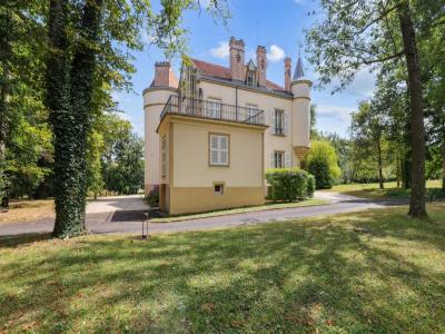 Annonce Vente Prestige Saint-julien-de-coppel 63