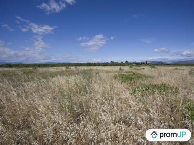 Annonce Vente Terrain Saint-hippolyte 66