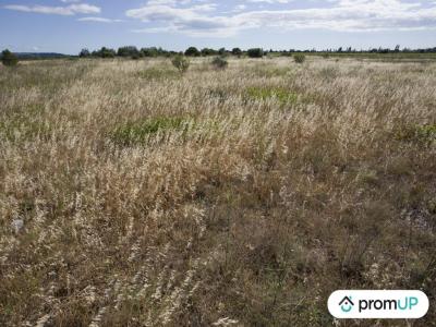 Acheter Terrain 5210 m2 Saint-hippolyte