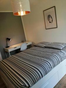For rent Rennes 1 room 19 m2 Ille et vilaine (35200) photo 0