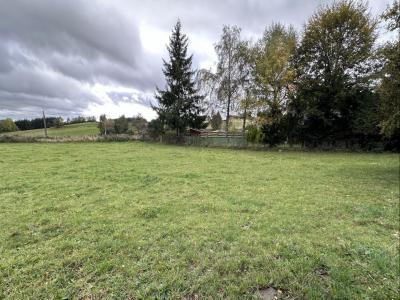 For sale Saint-maurice-en-gourgois Loire (42240) photo 0