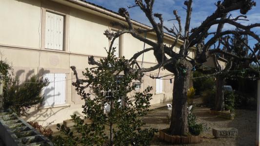 For sale Beaurepaire 247 m2 Isere (38270) photo 0