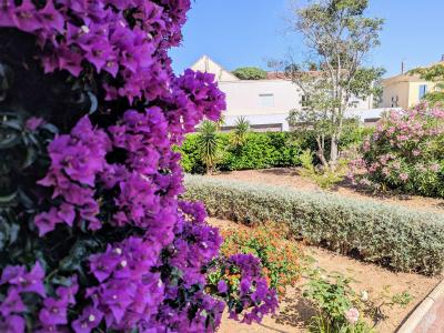 Annonce Vente 3 pices Appartement Seyne-sur-mer 83