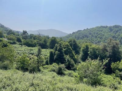 Acheter Terrain Cristinacce Corse