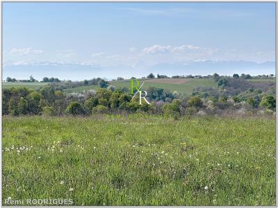Annonce Vente Terrain Sauvagnon 64