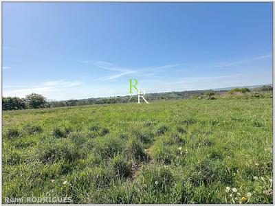Acheter Terrain Sauvagnon