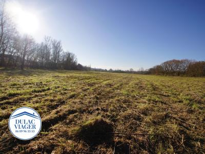 Annonce Vente Terrain Dunes 82