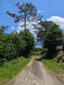 For sale Hagetmau 5 rooms 150 m2 Landes (40700) photo 1