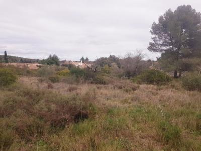 For sale Pignan 326 m2 Herault (34570) photo 0