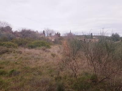 Annonce Vente Terrain Pignan 34
