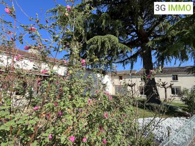 Acheter Maison 217 m2 Marmande
