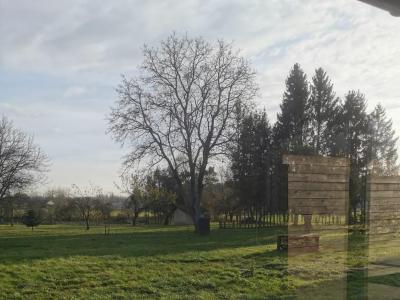Annonce Vente Terrain Bienville-la-petite 54