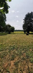Acheter Terrain Bienville-la-petite