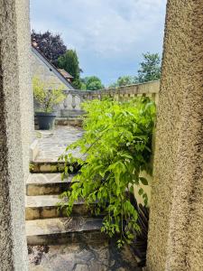 Acheter Maison Choisy-au-bac 230000 euros