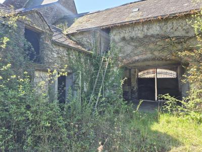 Annonce Vente 7 pices Maison Chapelle-glain 44