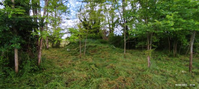 Annonce Vente Terrain Noaillan 33
