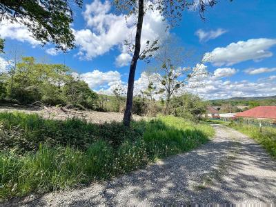 For sale Parbayse Pyrenees atlantiques (64360) photo 0