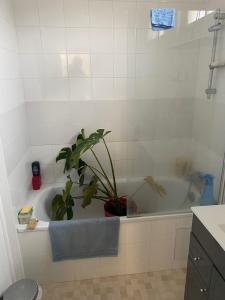 Acheter Immeuble Augerville-la-riviere 227000 euros