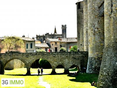 Annonce Vente Maison Carcassonne 11