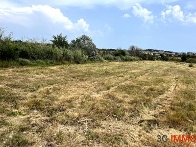 Annonce Vente Terrain Lespignan 34