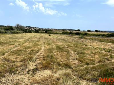 Acheter Terrain Lespignan