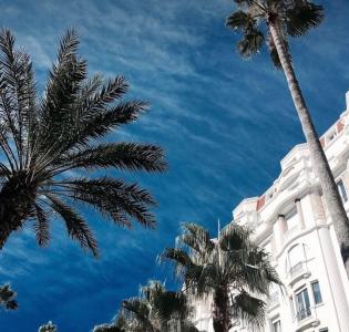For sale Cannes 1 room Alpes Maritimes (06400) photo 3