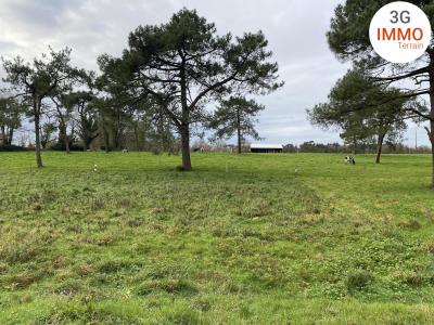 For sale Grand-champ Morbihan (56390) photo 0