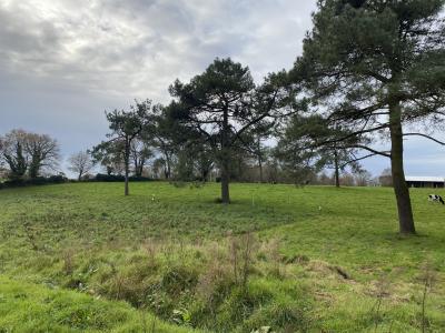 Annonce Vente Terrain Grand-champ 56