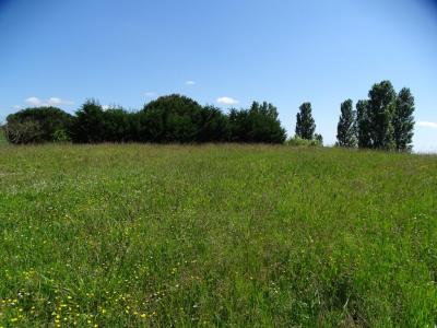 Annonce Vente Terrain Bellegarde-sainte-marie 31