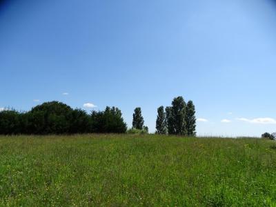 Acheter Terrain Bellegarde-sainte-marie Haute garonne