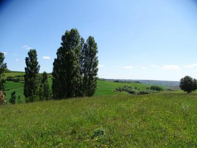 Acheter Terrain Bellegarde-sainte-marie 159000 euros