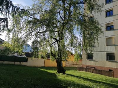 Acheter Appartement Scionzier Haute savoie